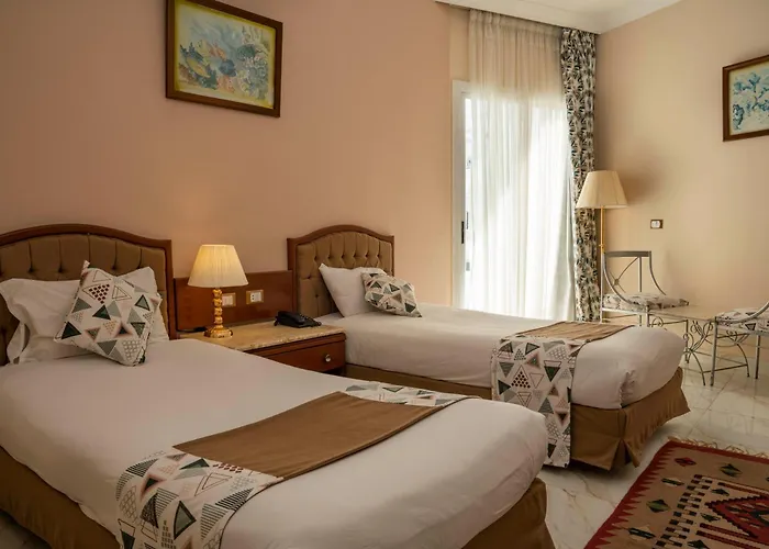 Otel Dexon Roma 3*